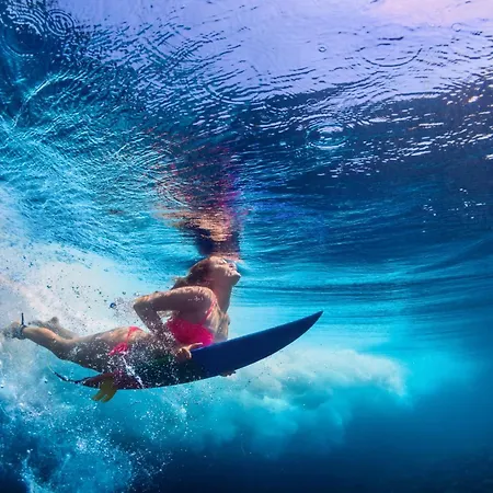 Vakantiehuis 10gardens Premium Mobile Homes With Private Jacuzzi & Sauna By Oiko Collection